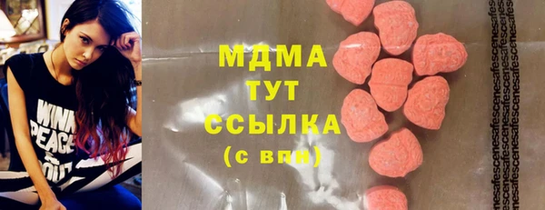 бошки Пересвет