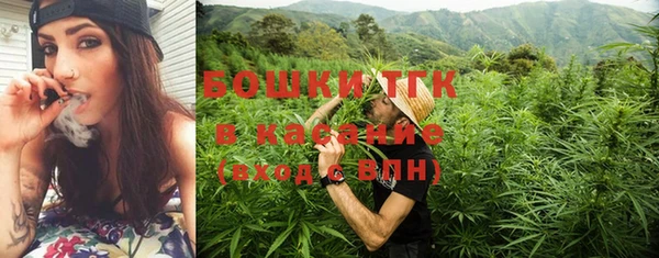 шишки Володарск