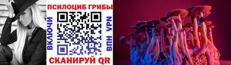 Галлюциногенные грибы Magic Shrooms  mega ссылка  Иланский  магазин   